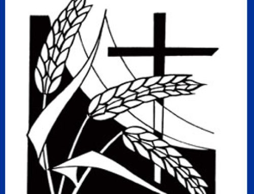 2010_4 Proclaimer Harvest 2010