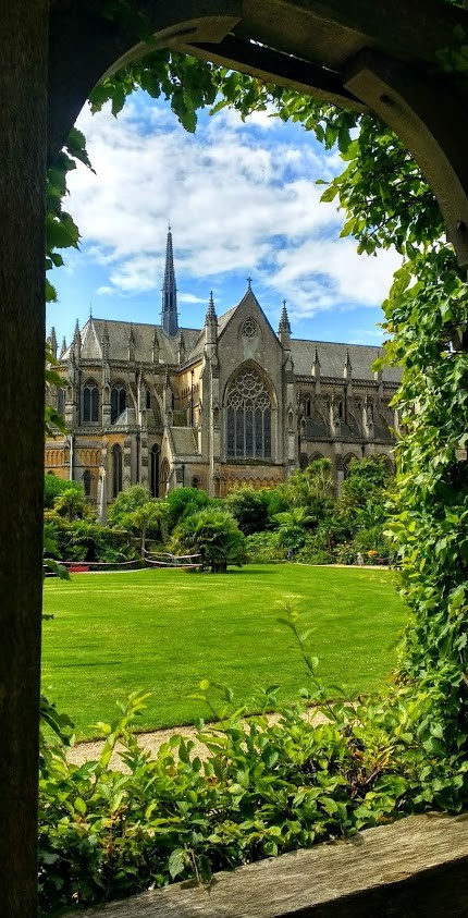 Sharon Witham’s stunning 'Window with a View’ prize-winning picture 